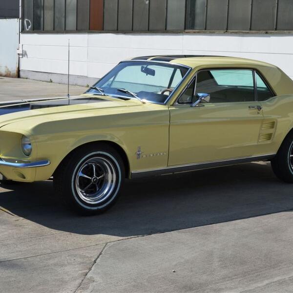 Mustang Baujahr 1967 GT-Optik